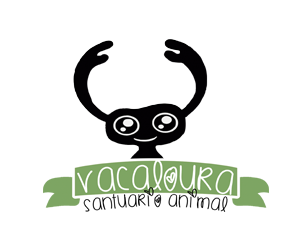 CAMISETAS RECTAS