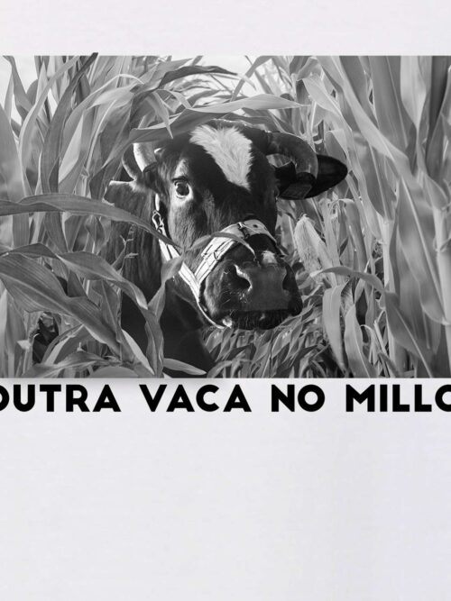 Outra vaca no millo