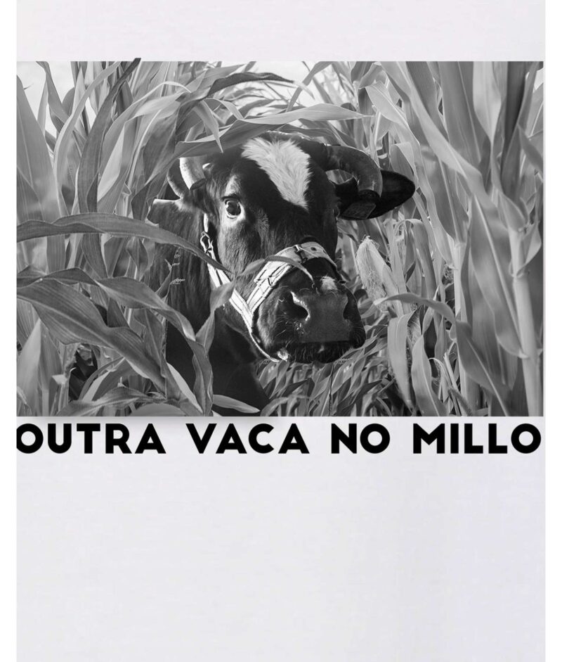 Outra vaca no millo