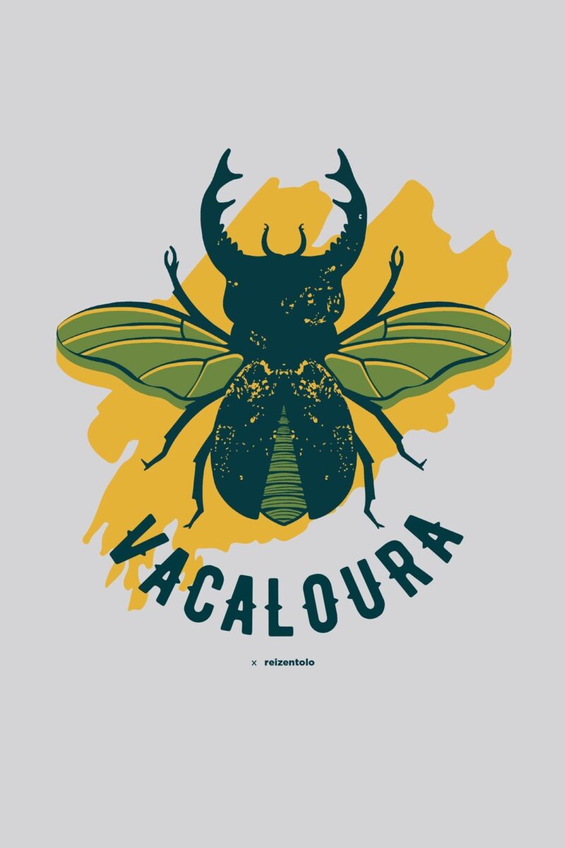 Vacaloura x Reizentolo