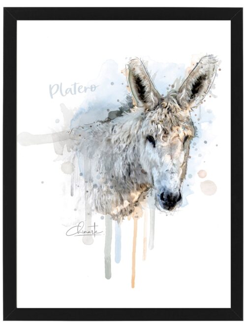 Platero 21x30cm