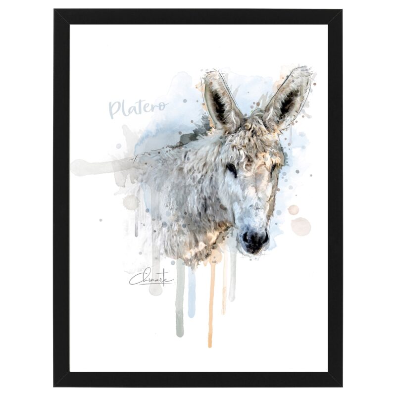 Platero 21x30cm