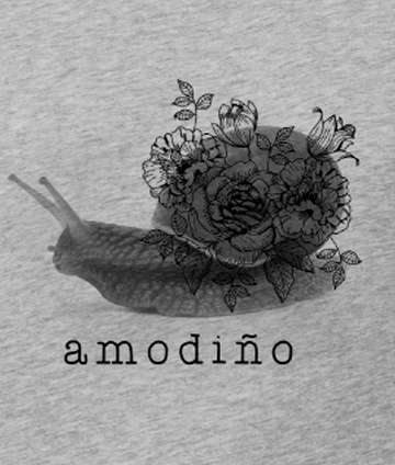 Amodiño