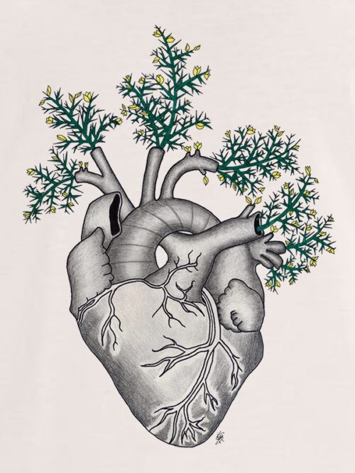 Corazón de toxo