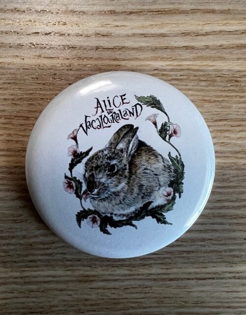 Imán Alice