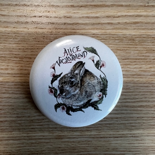 Imán Alice