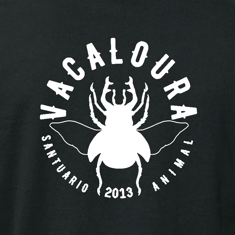 Vacaloura