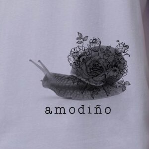 Amodiño