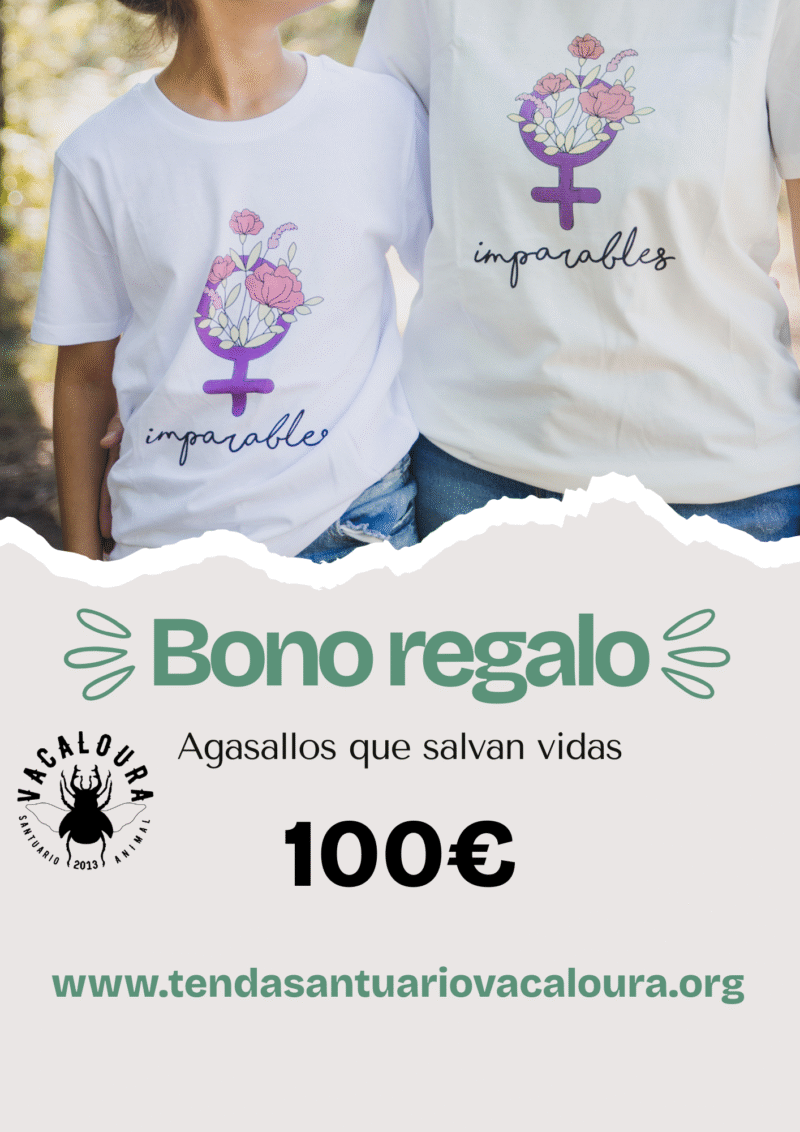 Bono regalo 100€
