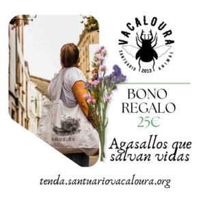 Bono regalo 25€