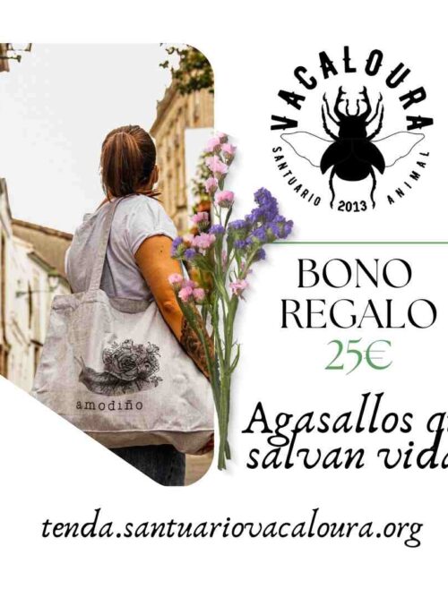Bono regalo 25€