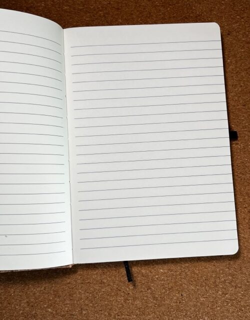 Caderno cortiza All you need are cats