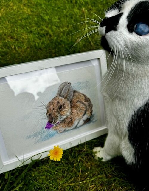 Alice