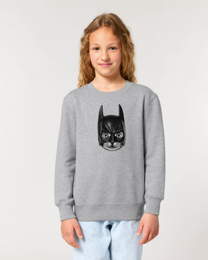 Diseño sin título Batcat