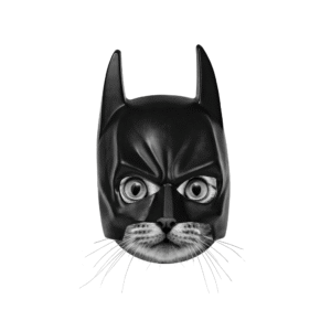 Batcat