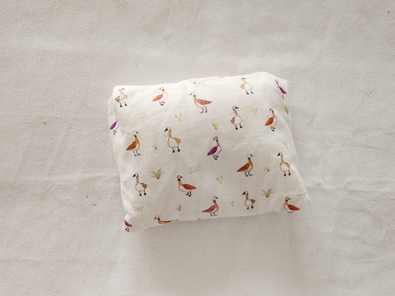 Saco de sementes patos