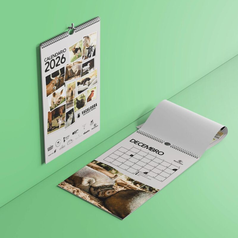 Calendario 2026 Santuario Vacaloura