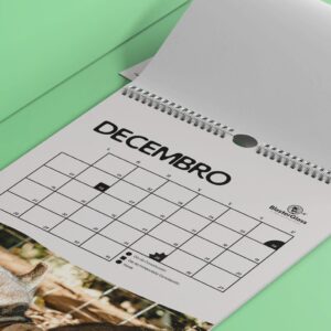 Calendario 2026 Santuario Vacaloura