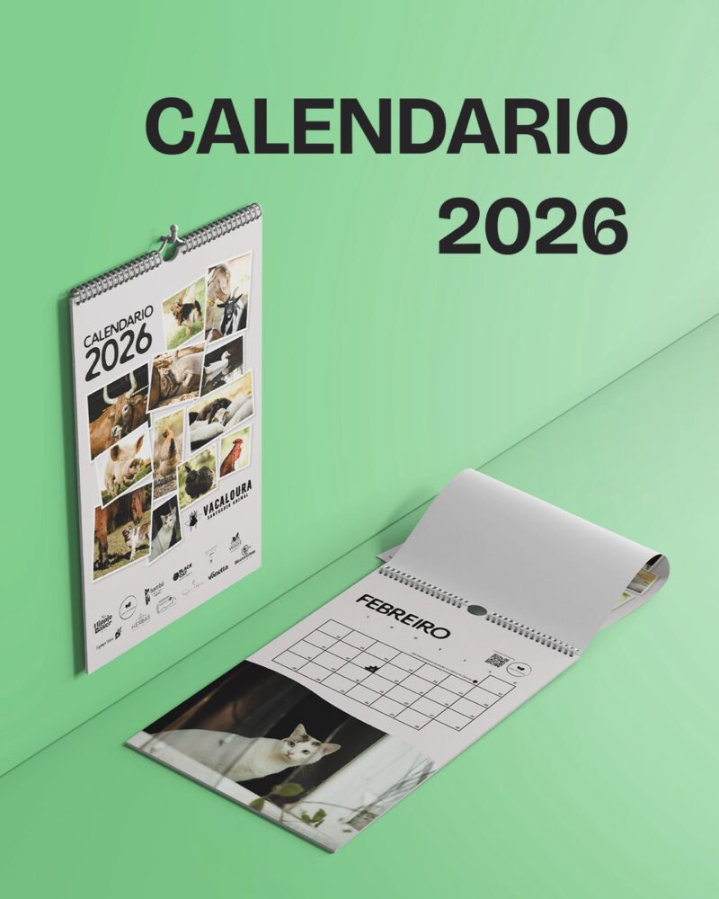 Calendario 2026 Santuario Vacaloura
