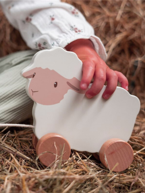 Ovella de Arrastre - Little Dutch