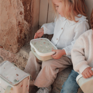 Caixa Almorzo Santuario Animal