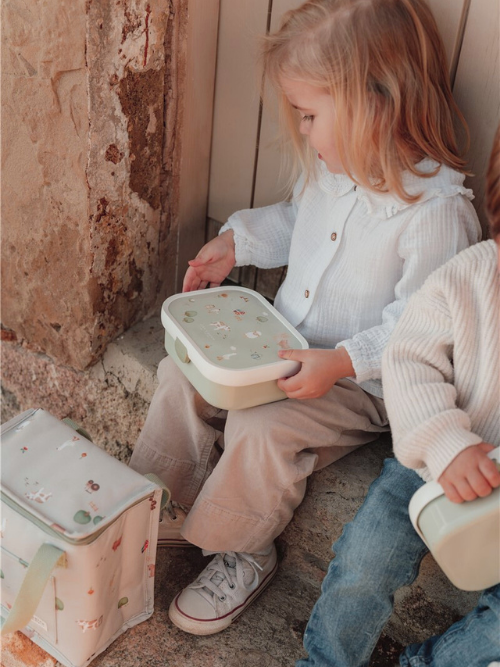 Caixa Almorzo Santuario Animal