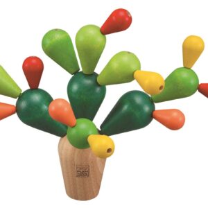 Cactus Equilibrista