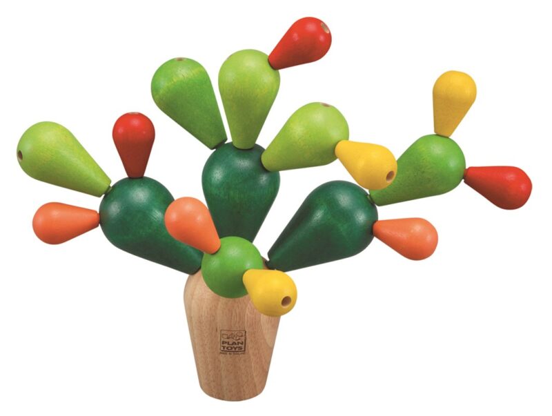 Cactus Equilibrista