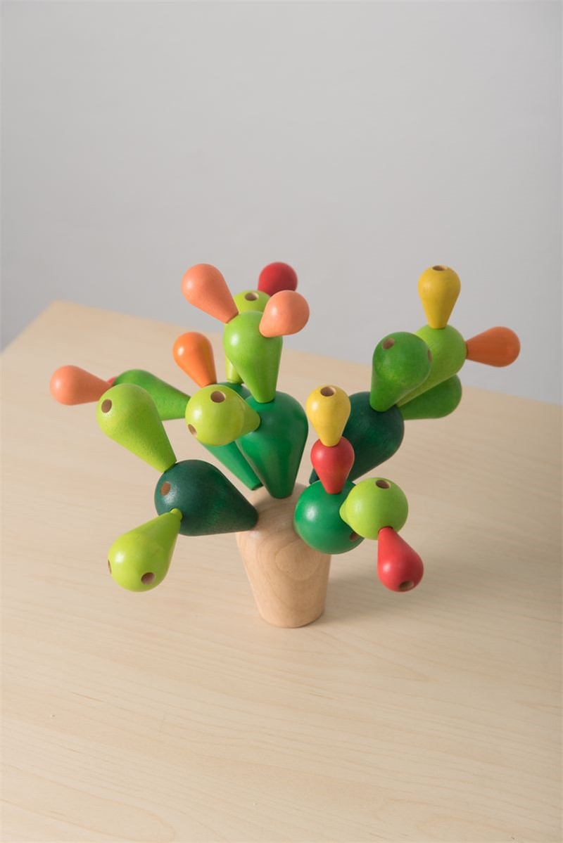 Cactus Equilibrista