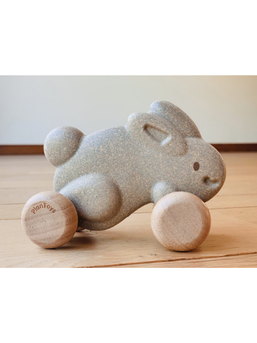 Xoguete de Arrastre Coello