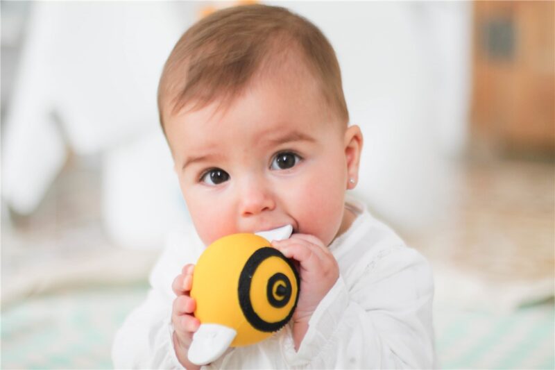 Xoguete Sensorial Pic A Abella