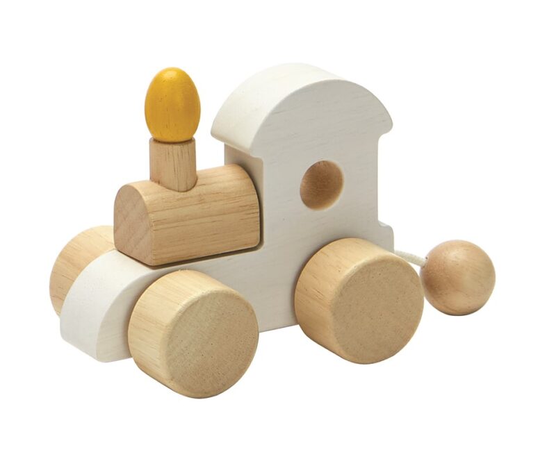 Tren de madeira