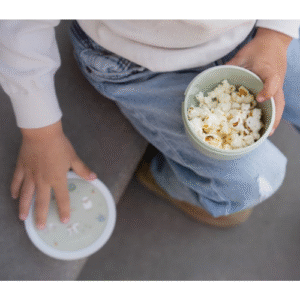 Caixa Froita Santuario Animal