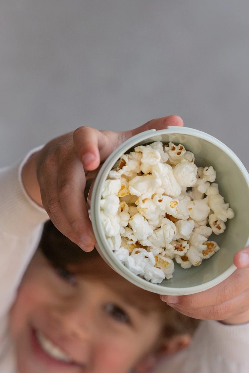 Caixa Froita Santuario Animal