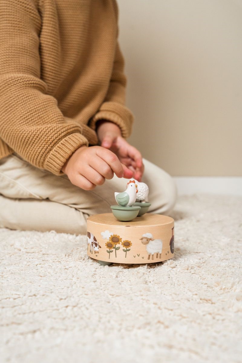 Caixa de Música Animais do Santuario